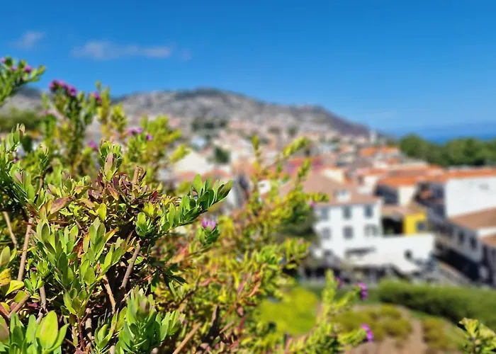 The Urban Retreat By Lovelystay * Funchal (Madeira)